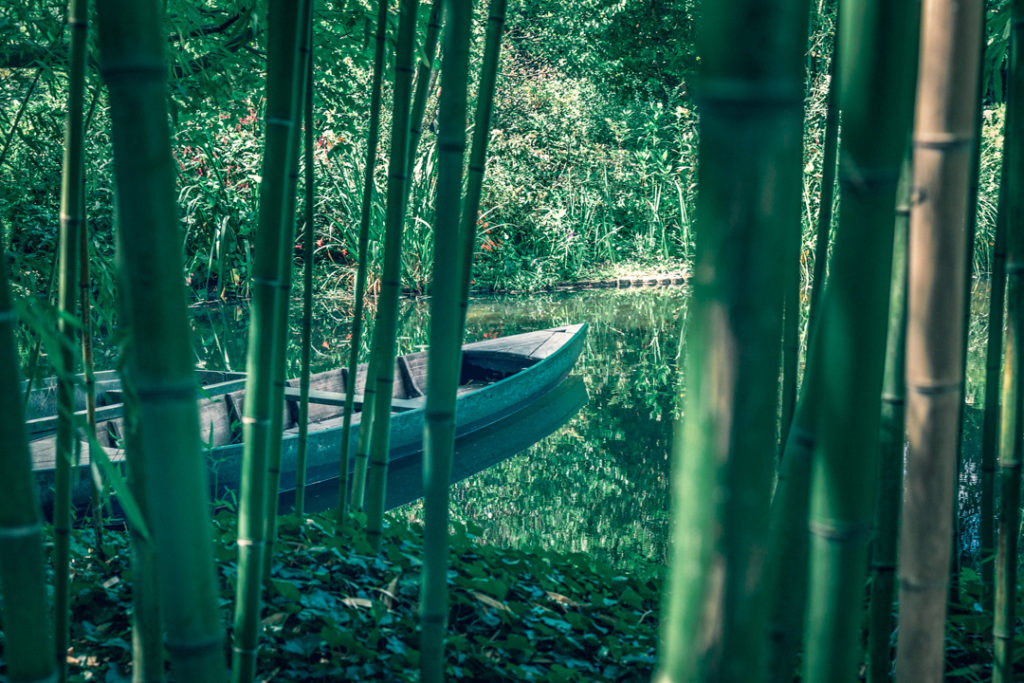 Forêt de bambous et barque sur un petit étang, Giverny, Normandie, France