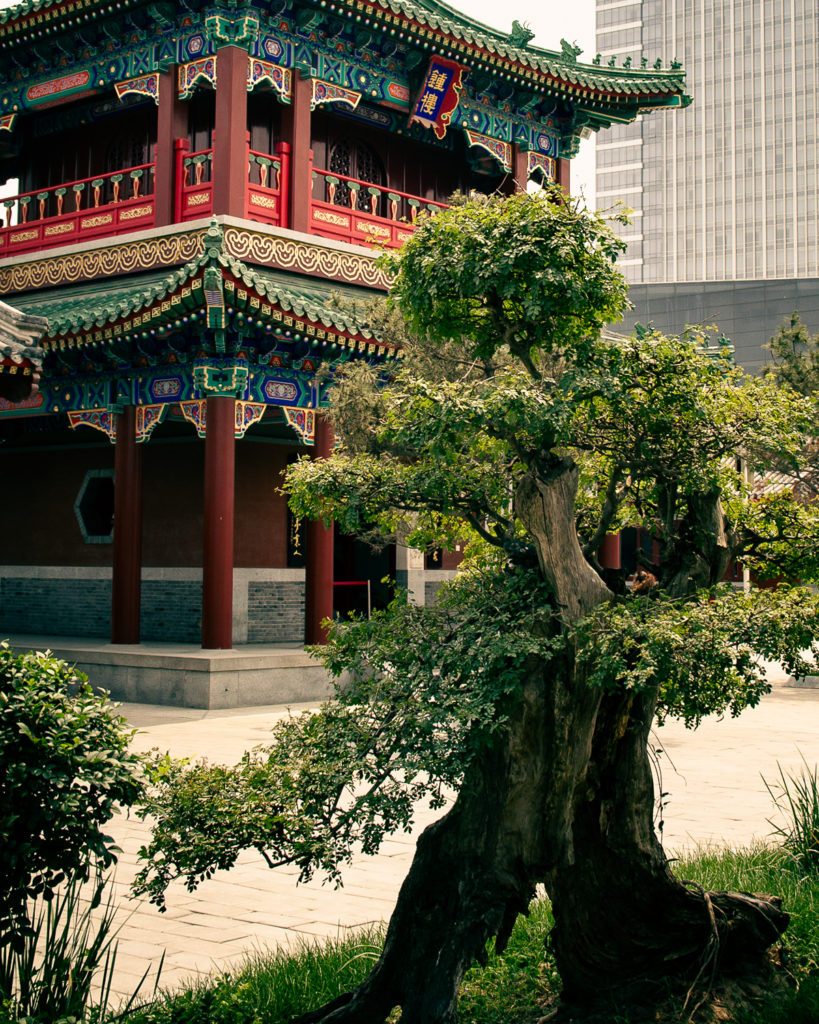Parc paisible à Tianjin avec architecture traditionnelle chinoise et immeuble moderne en arrière-plan