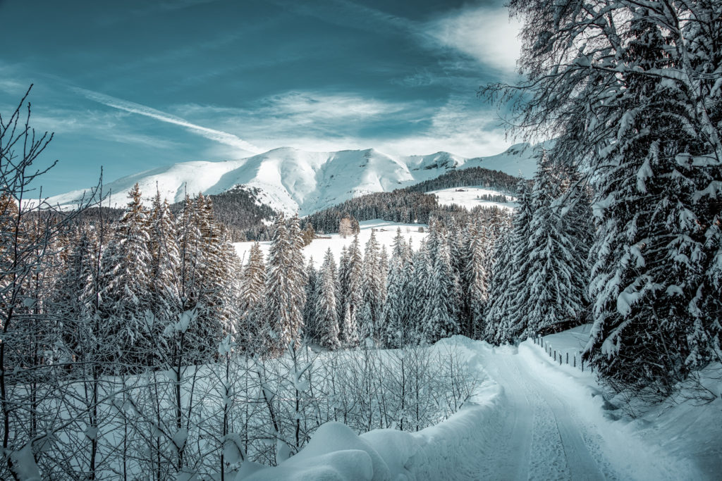 Paysage hivernal à Megève avec une route enneigée, des sapins et le Mont-Blanc en arrière-plan.