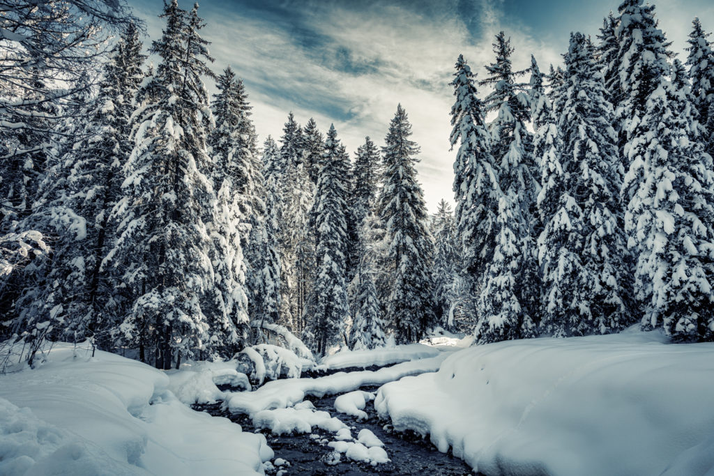 snowy forest with river in Haute-Savoie