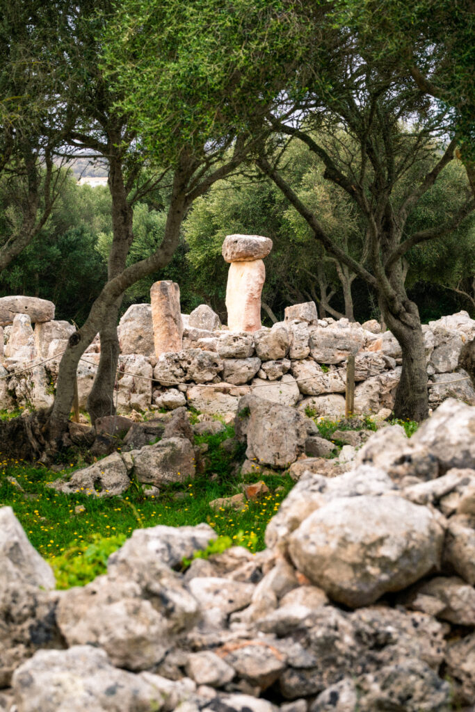 Colonne talayotique dressée derrière un mur de pierre sèche, aperçue entre les oliviers, Torre d'en Galmés, Minorque