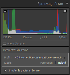Panneau Épreuvage écran de Lightroom Classic avec un profil ICC de simulation pour impression KDP noir et blanc.