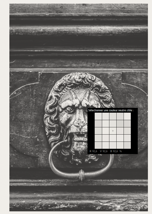Lecture des valeurs sous le pointeur dans le module Développement de Lightroom Classic pendant l'épreuvage écran.
